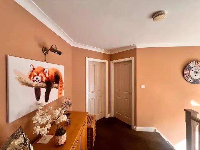 Landing painted warm clay with crisp white coving and doors